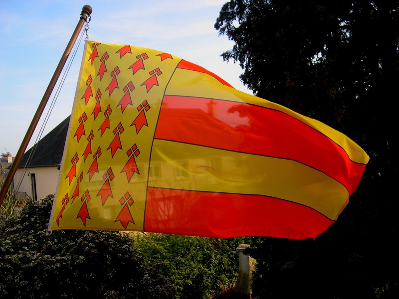 Drapeau breton, Gwenn ha Du Stock Illustration