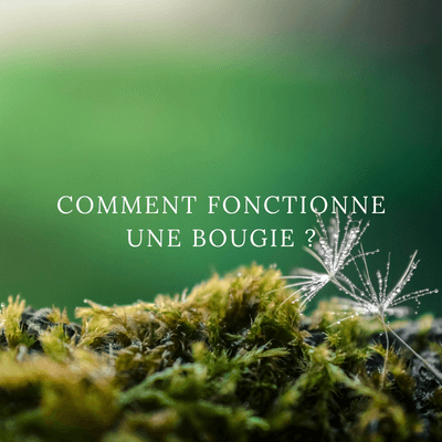 Comment fonctionne une bougie ?