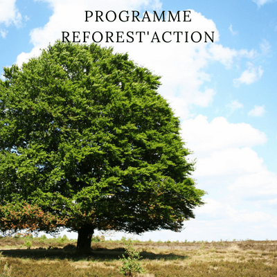 Reforest'Action